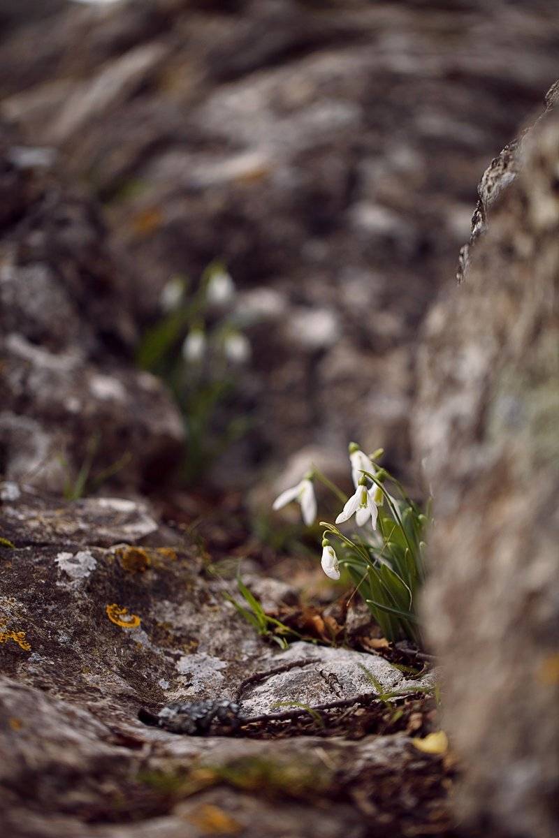 , Ольга Денисова
