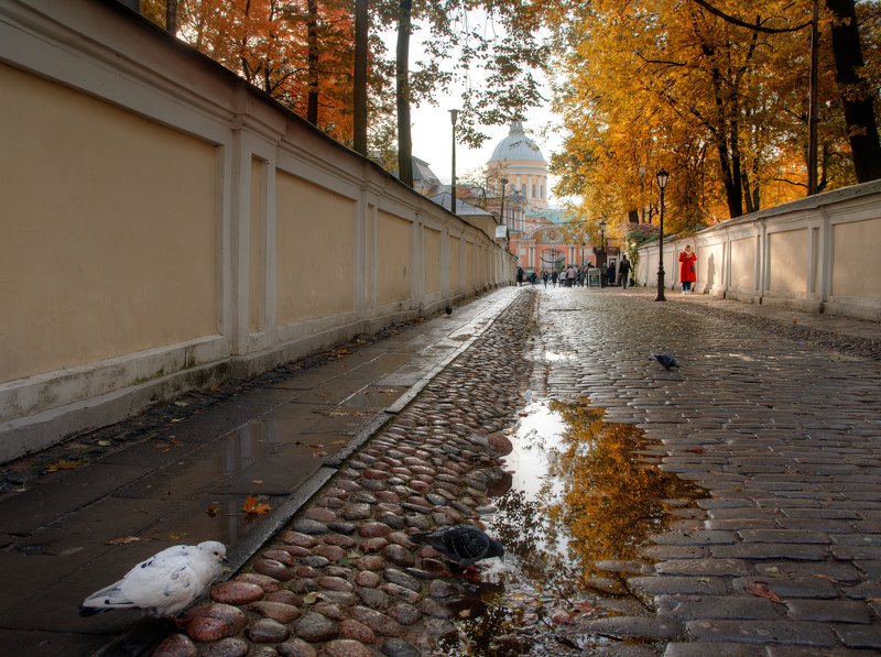 утро в Лавре фото превью