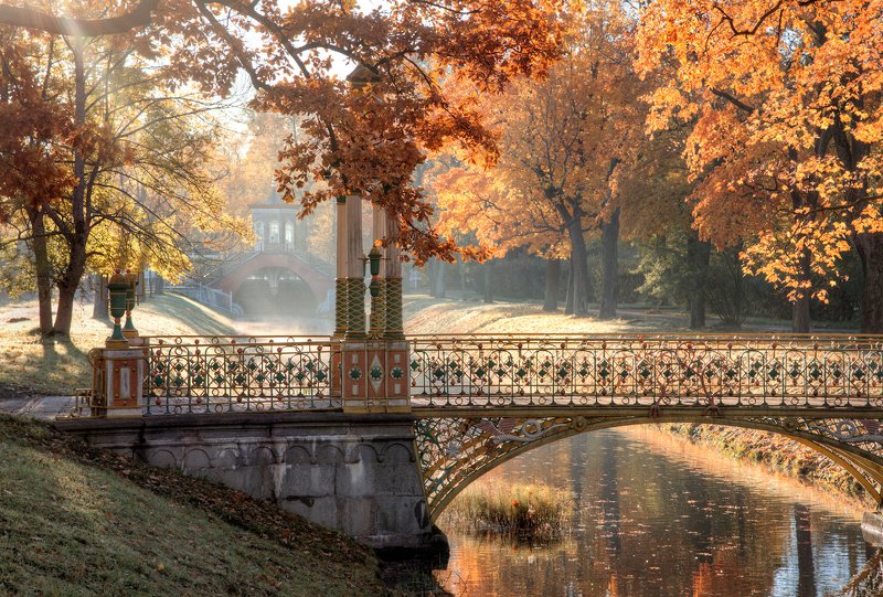 Утро в пушкинском парке фото превью