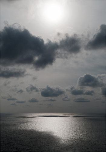 Одинокий странник