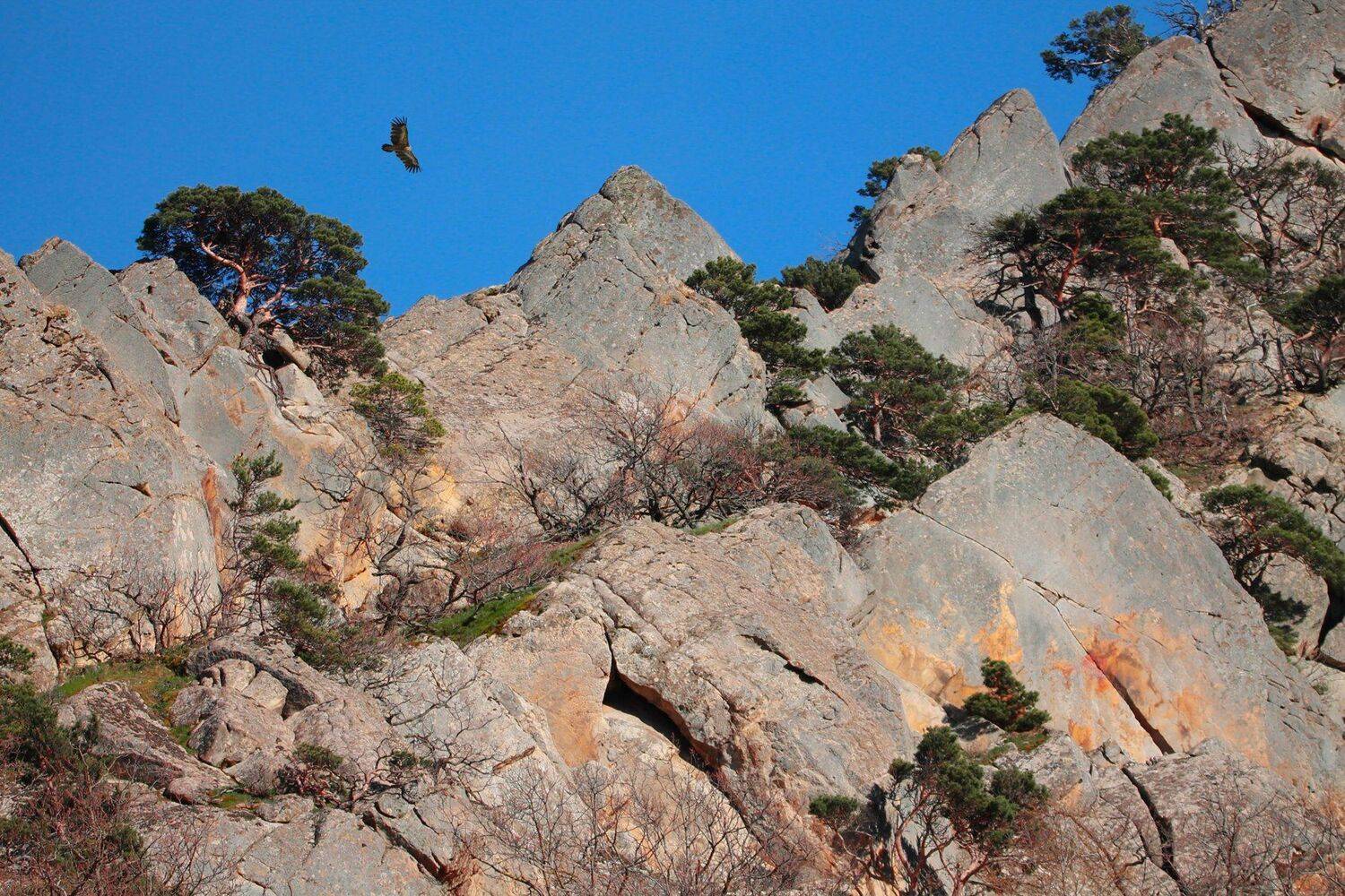 горы,осень,природа., Marat Magov