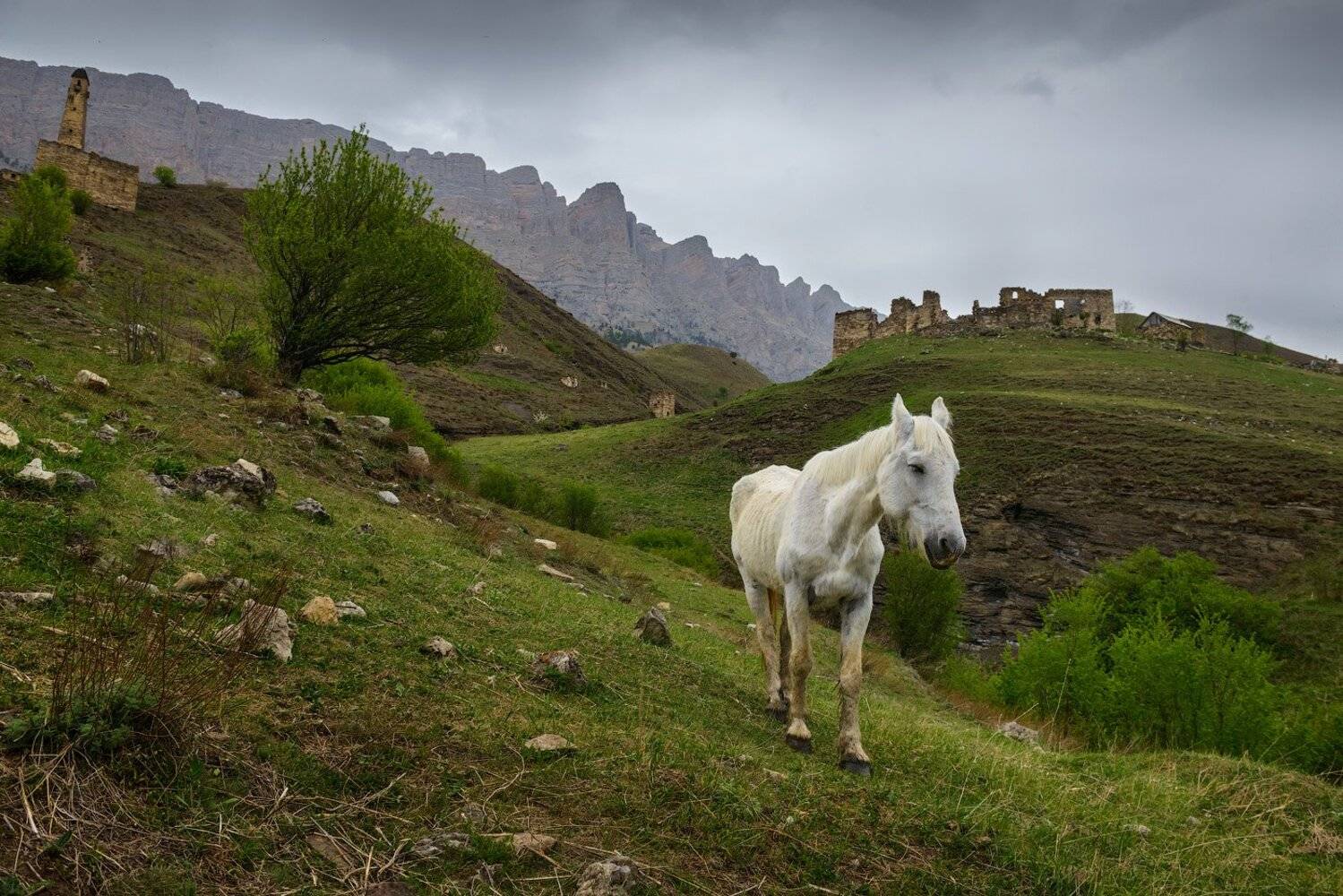 #CaucasusPhotosIngushetia #Ингушетия #Ingushetia #Pialing #Пялинг, Кутыгин Эдуард