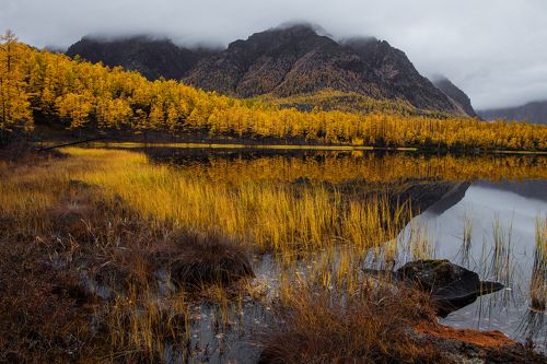 НАСТРОЕНИЕ - ОСЕНЬ.