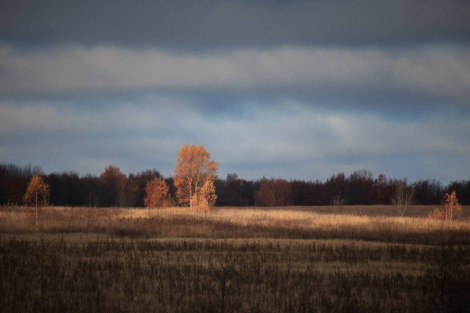 просвет, луч, солнце, осень, Сергей Сидоров
