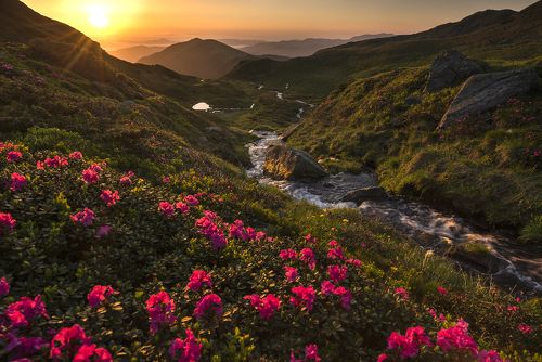 the spring of the mountain