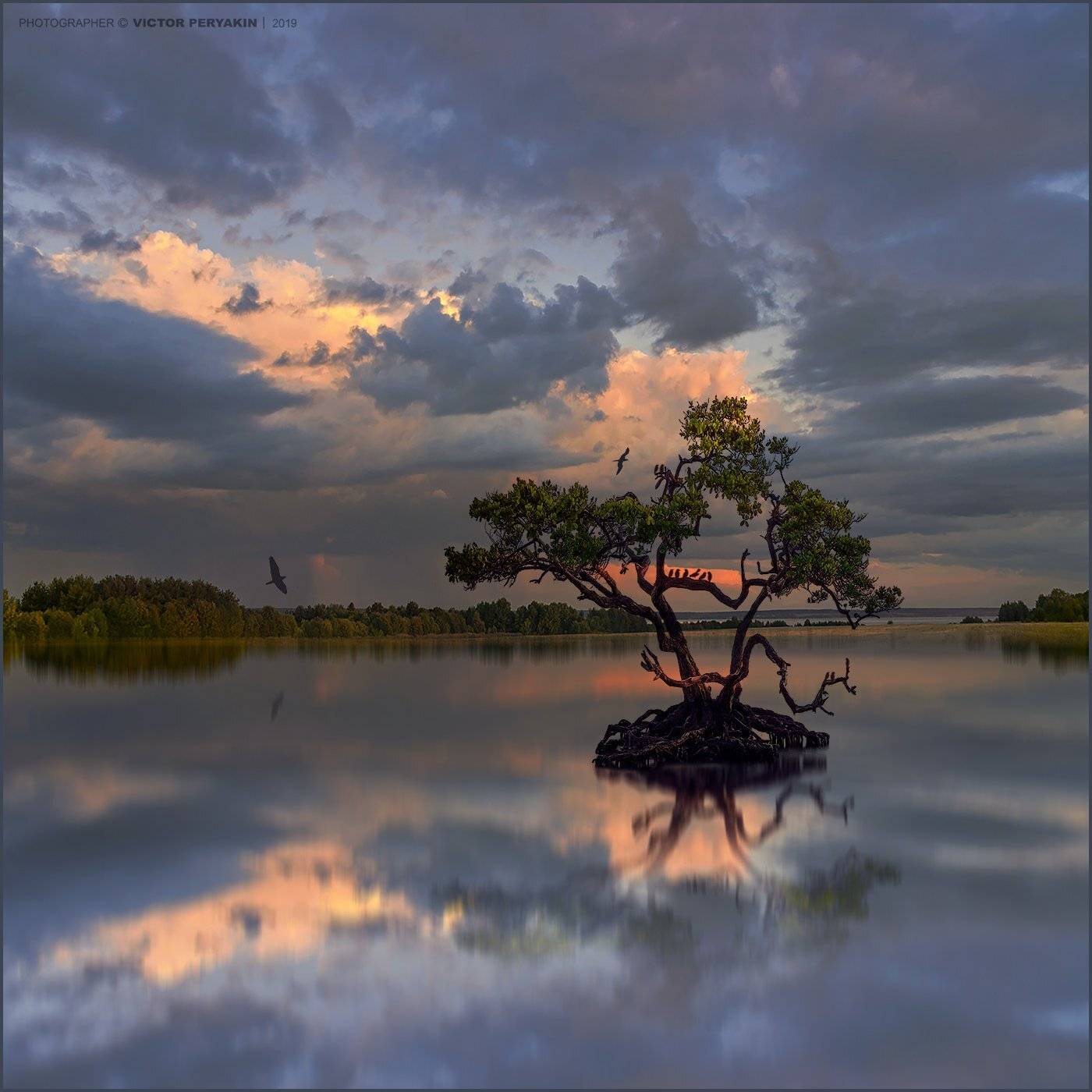 , Виктор Перякин