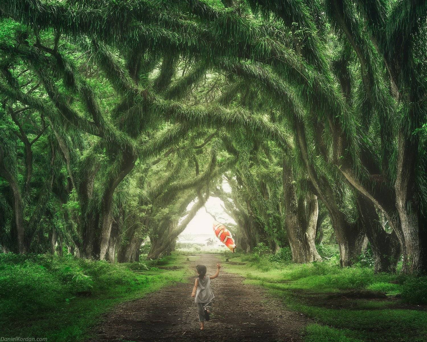 Indonesia, Даниил Коржонов