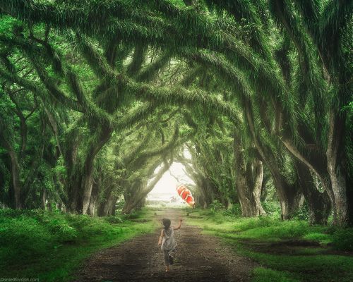 Run for your dreams