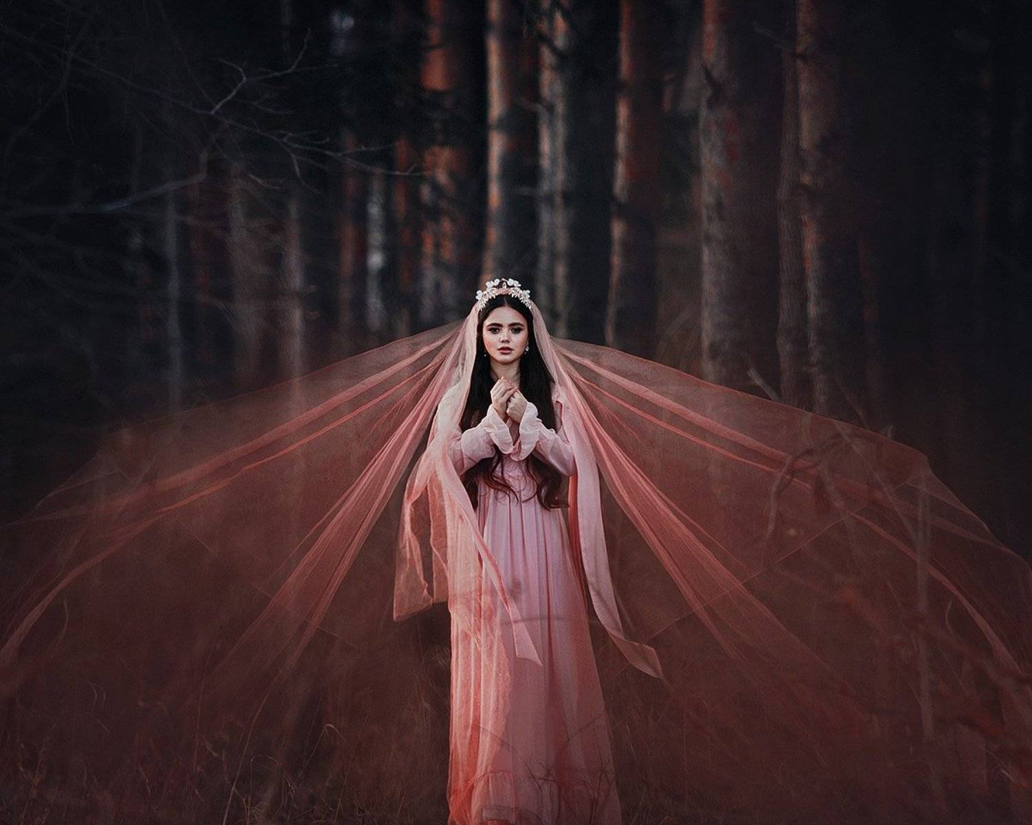 , Александра Шимолина