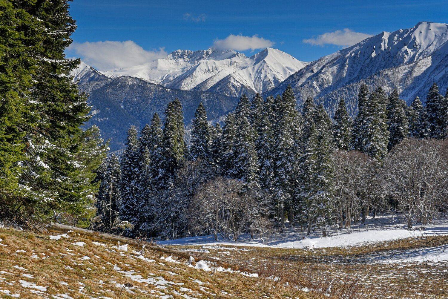 , Митя Андреев