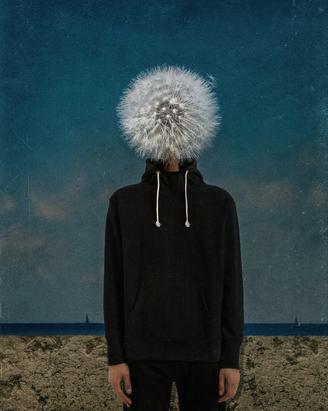 conceptual photography, conceptual, conceptualism man dandelion фото превью
