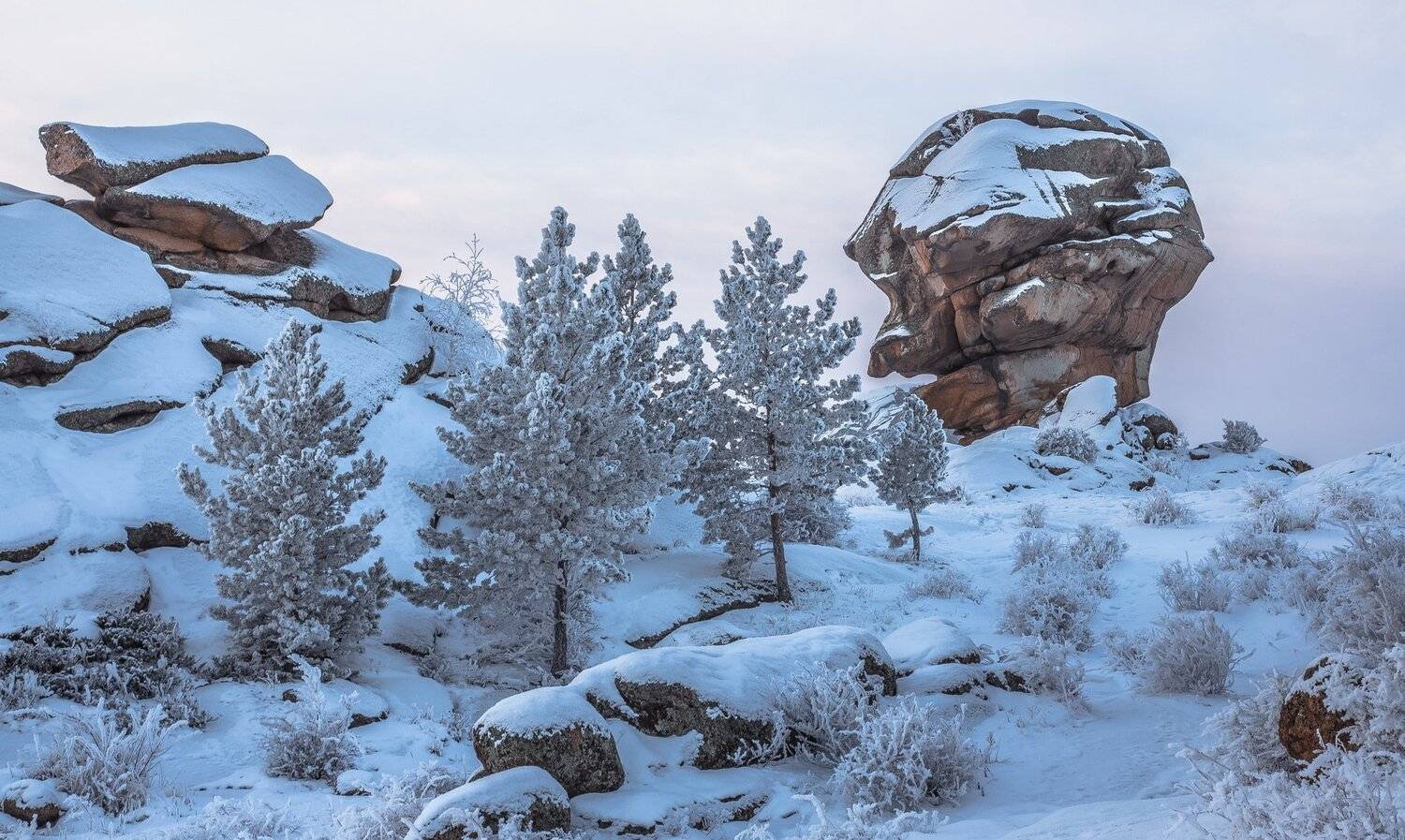 , Евгений Дроботенко