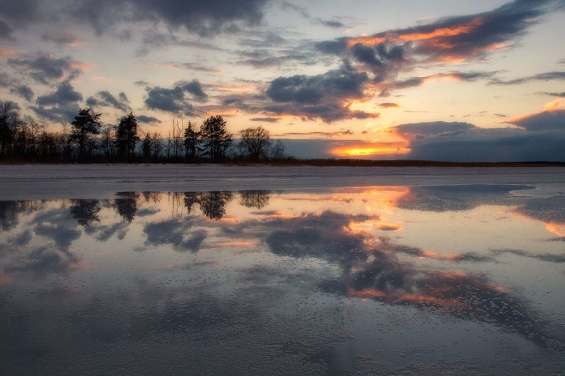 Небесная жар-птица фото превью