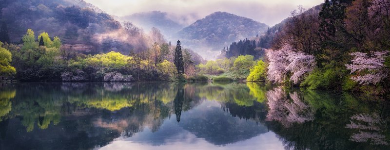 mountain trees flower water lake reflection fog spring sunlight morning Korea spring sunlight фото превью