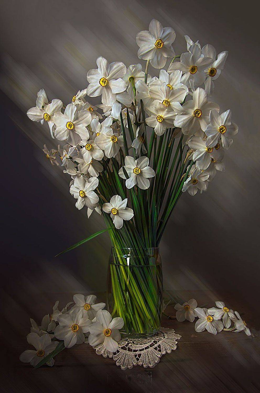 натюрморт с нарциссами,весенние,садовые цветы,художественное фото,искусство., Людмила Костюченко
