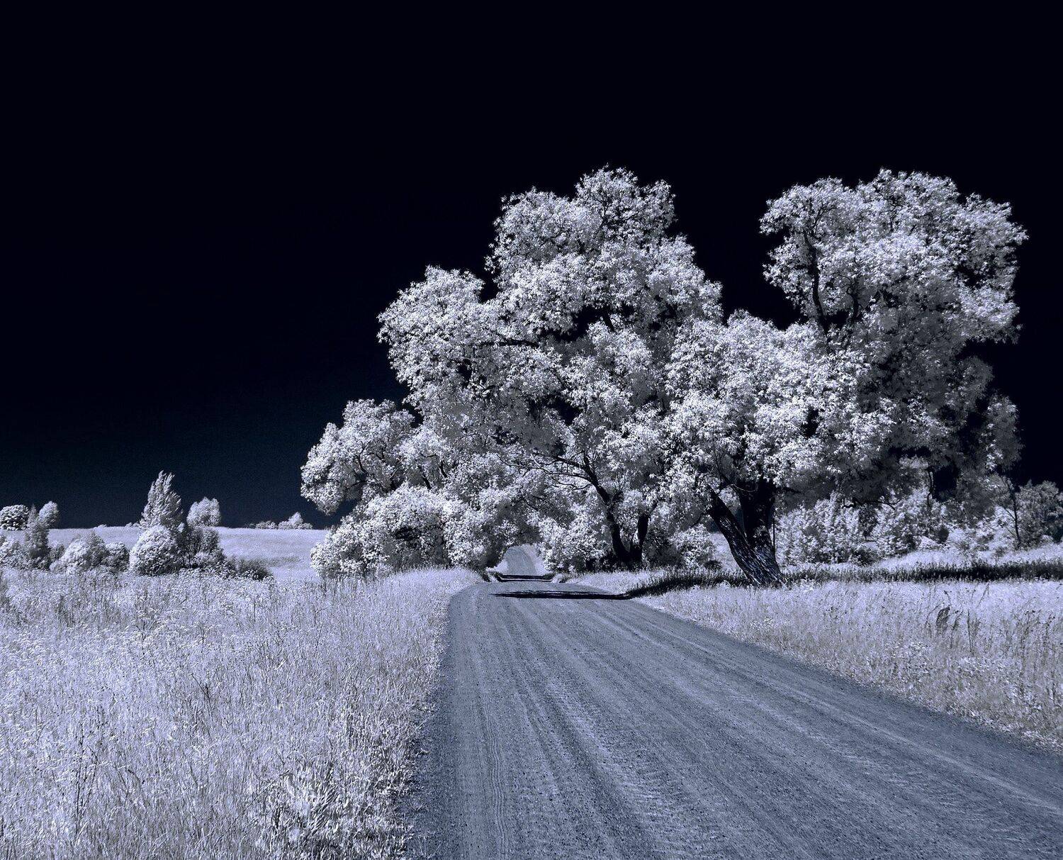 infrared,ик-фото,инфракрасное фото, инфракрасная фотография, пейзаж, лето, беларусь, Sixten ( Сергей )