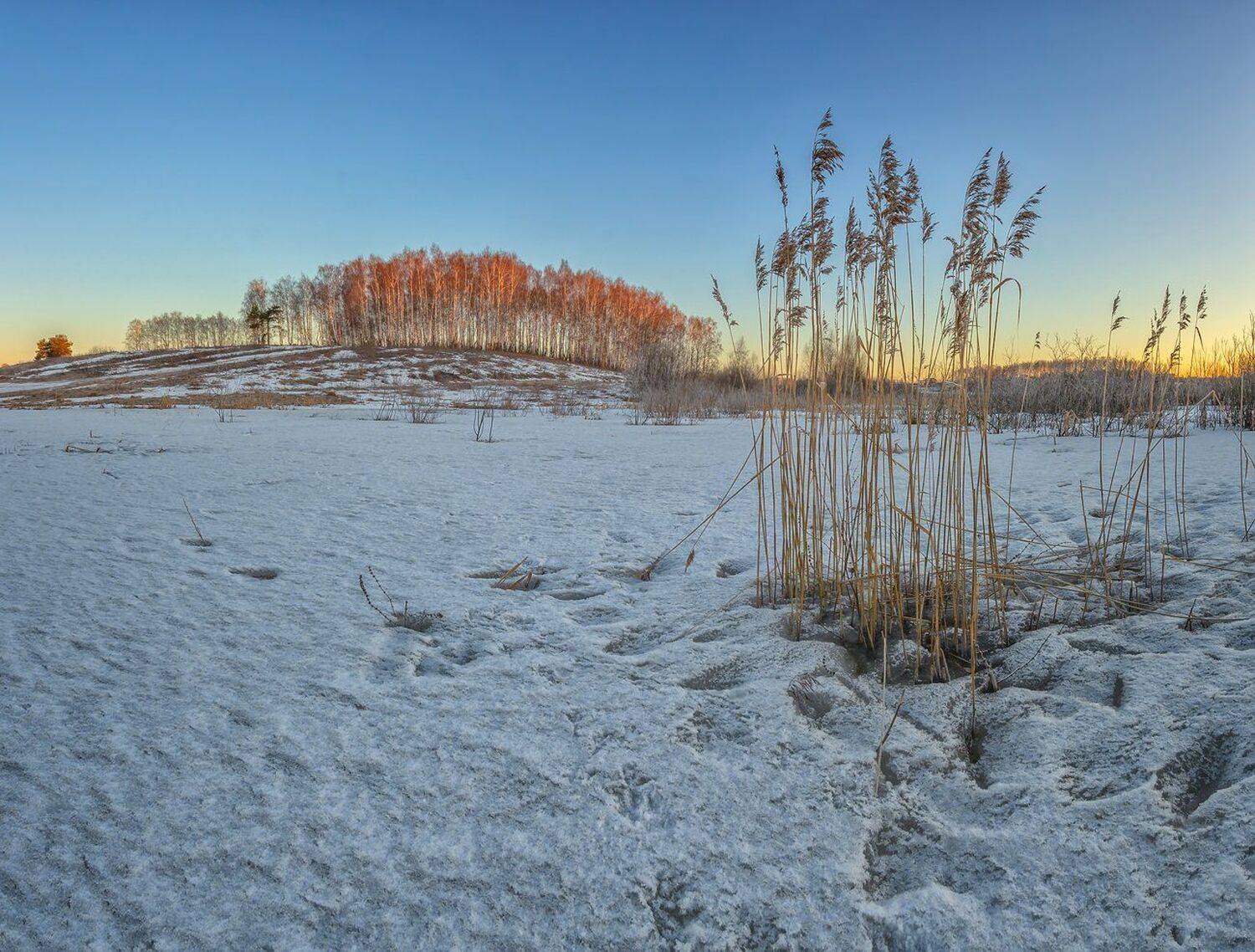 , Николай Андреев