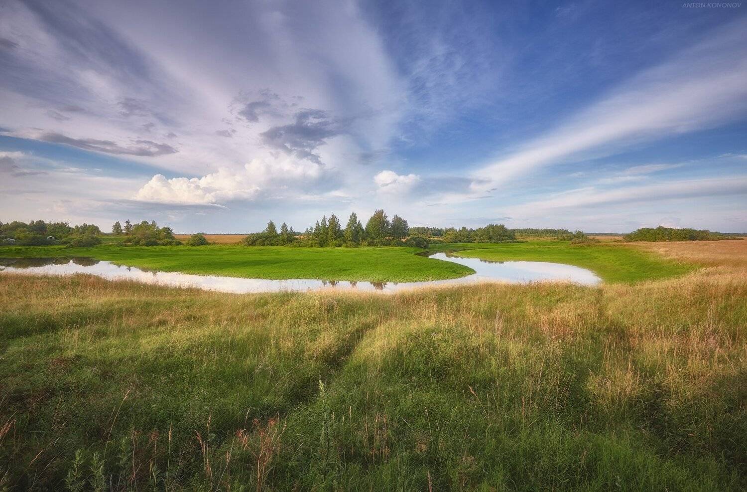 , Антон Кононов