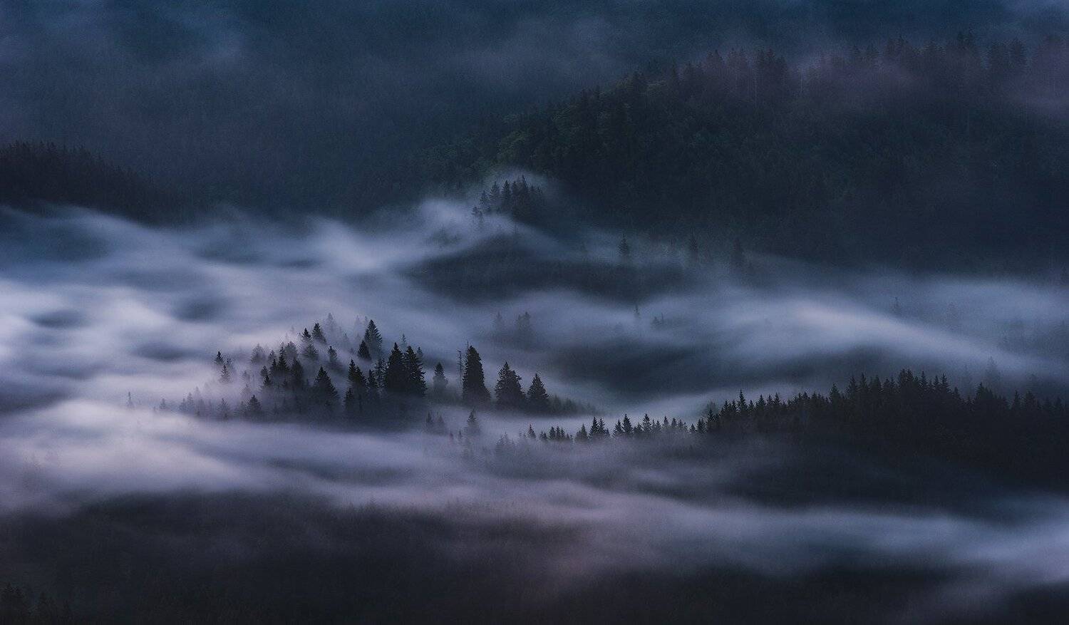 , Szabo Zsolt Andras