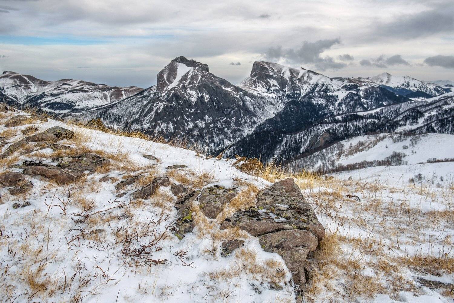 , Митя Андреев