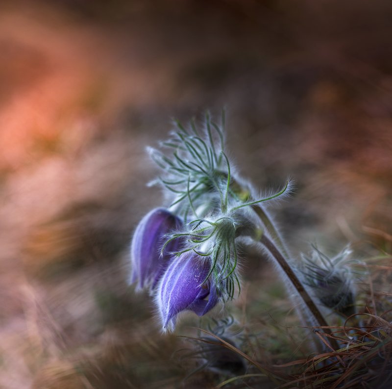 Sheltered