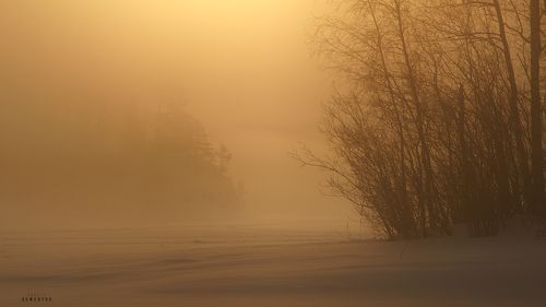 Призраки зимней Ладоги.
