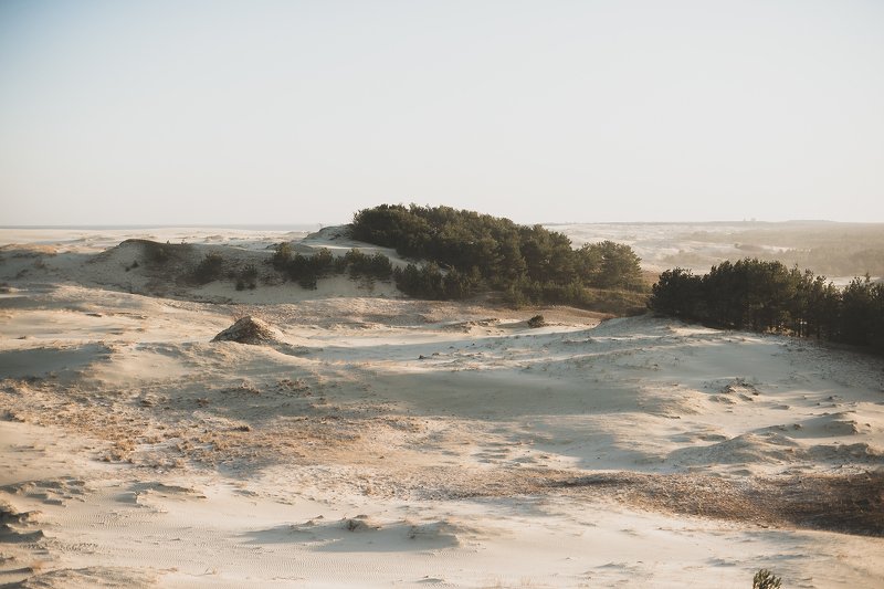 Куршская коса фото превью