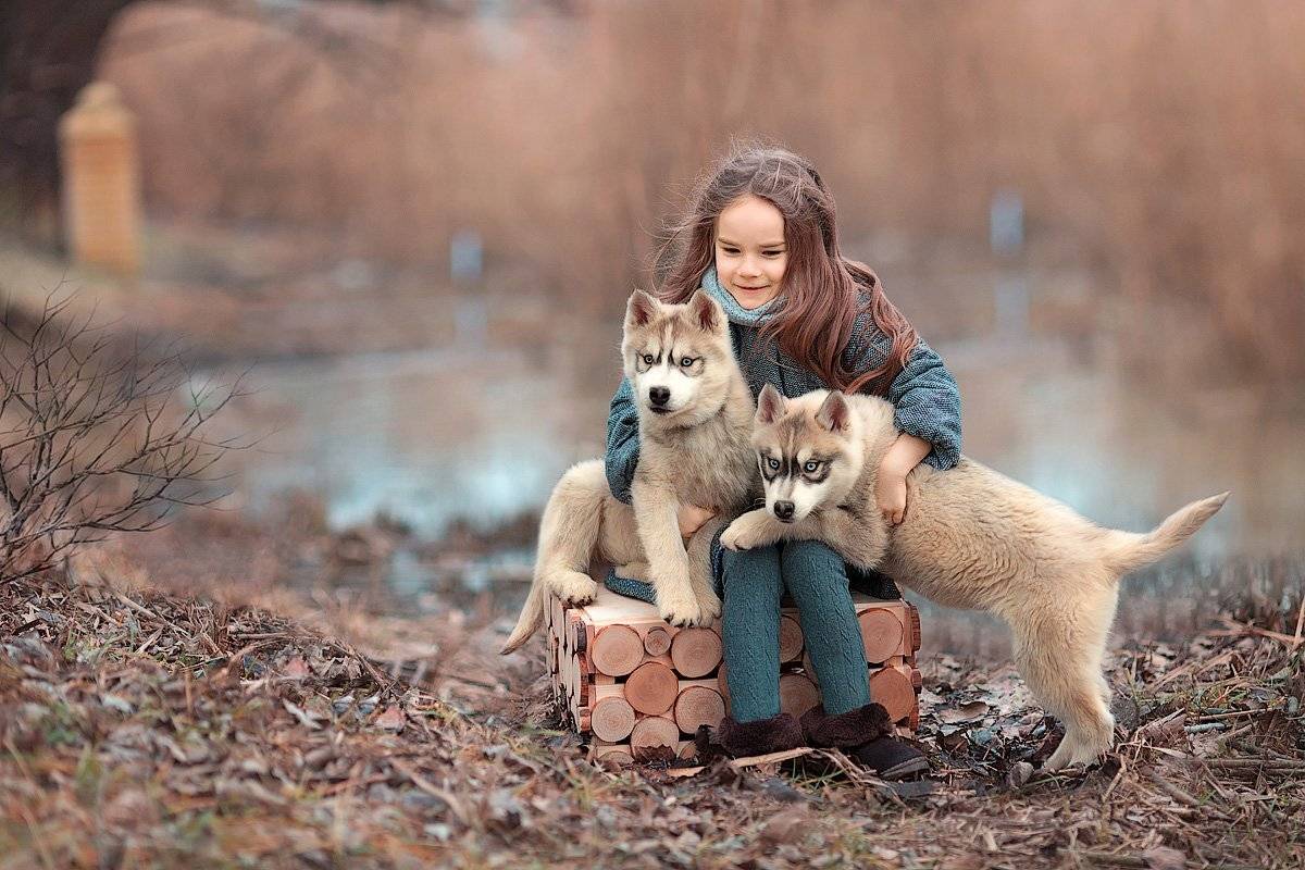 фотограф, фотографирую, фотопрогулка, девочка, малышка, весна, собаки, хаски, ребенок, семейная фотосессия, детский фотограф, счастье, радость, дети на фото, семейная фотография, девочка и собака, любовь, восторг, Францева Ольга