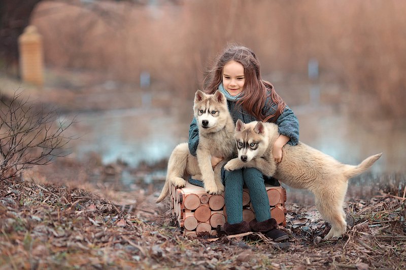 фотограф, фотографирую, фотопрогулка, девочка, малышка, весна, собаки, хаски, ребенок, семейная фотосессия, детский фотограф, счастье, радость, дети на фото, семейная фотография, девочка и собака, любовь, восторг Друзья фото превью