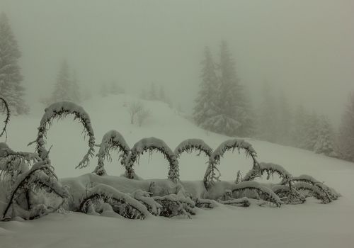 Winter in the Vladeasa Mountains.
