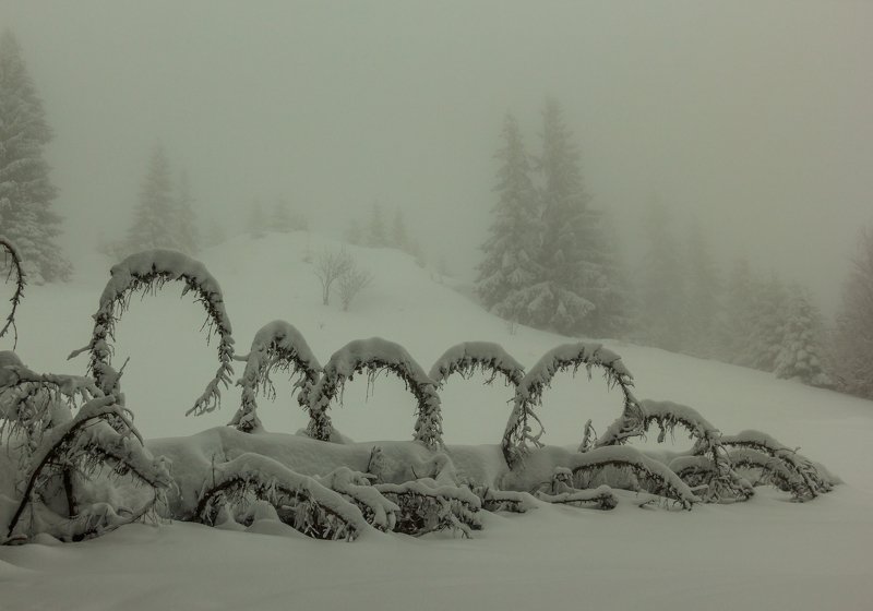 landscape winter mountains snow fog photography photo canvas wallpaper nature trees frame view  Winter in the Vladeasa Mountains. фото превью