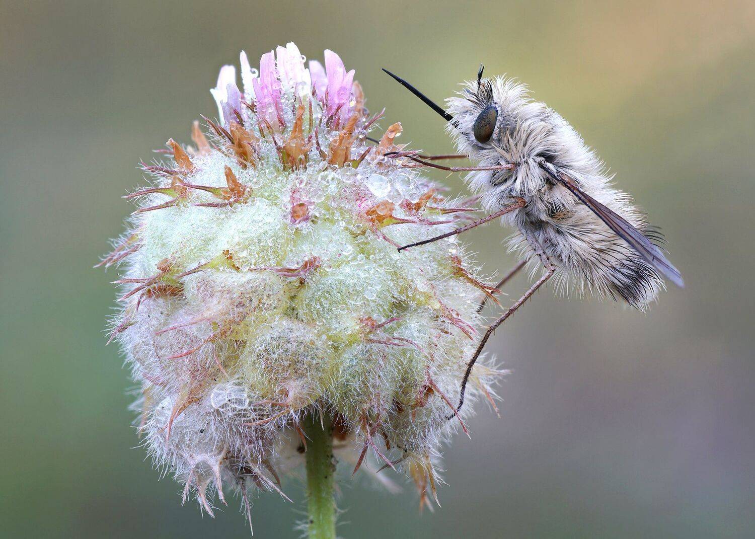 , Кузнецов Дмитрий
