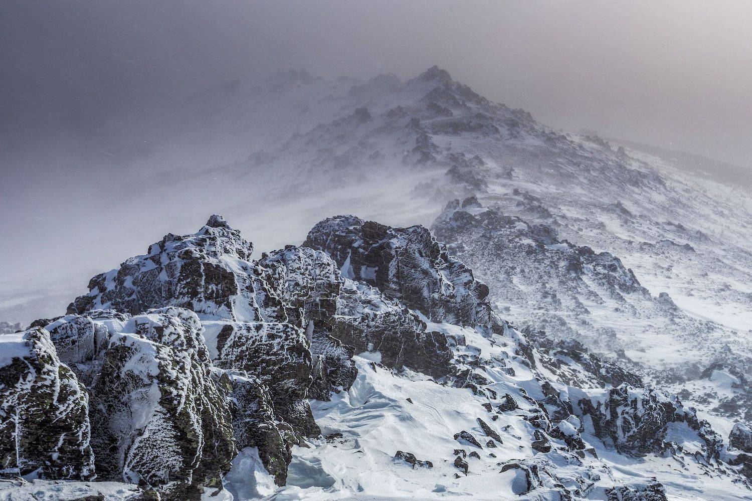 , Игорь Криницын