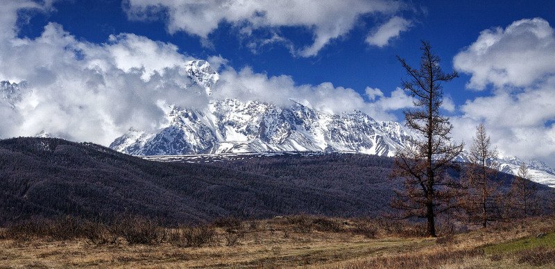 алтай, ледник актру, актру, алтайский край, долина, весна,осень, лиственницы, ледник,ледники Актру. фото превью