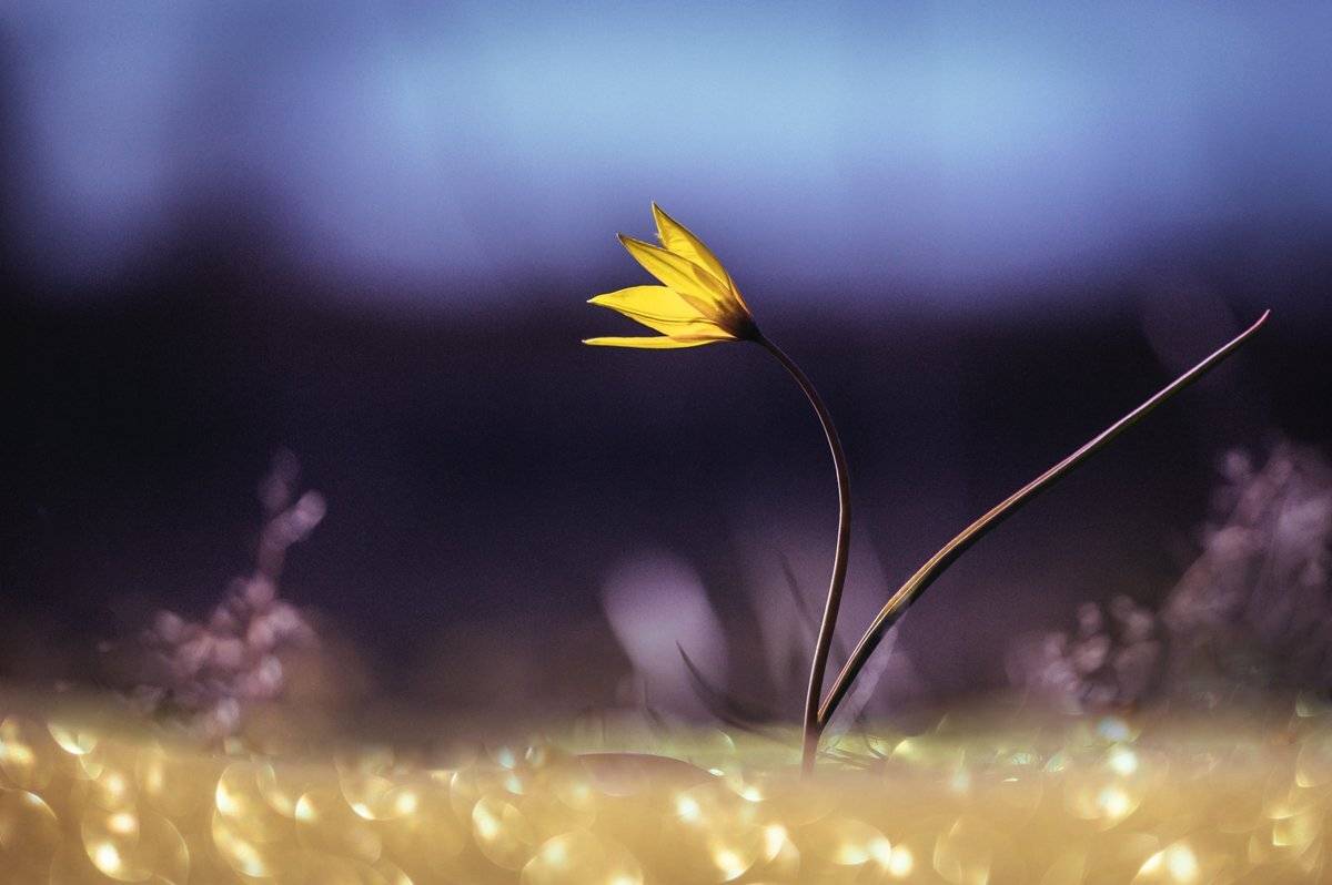 , Татьяна Аверина