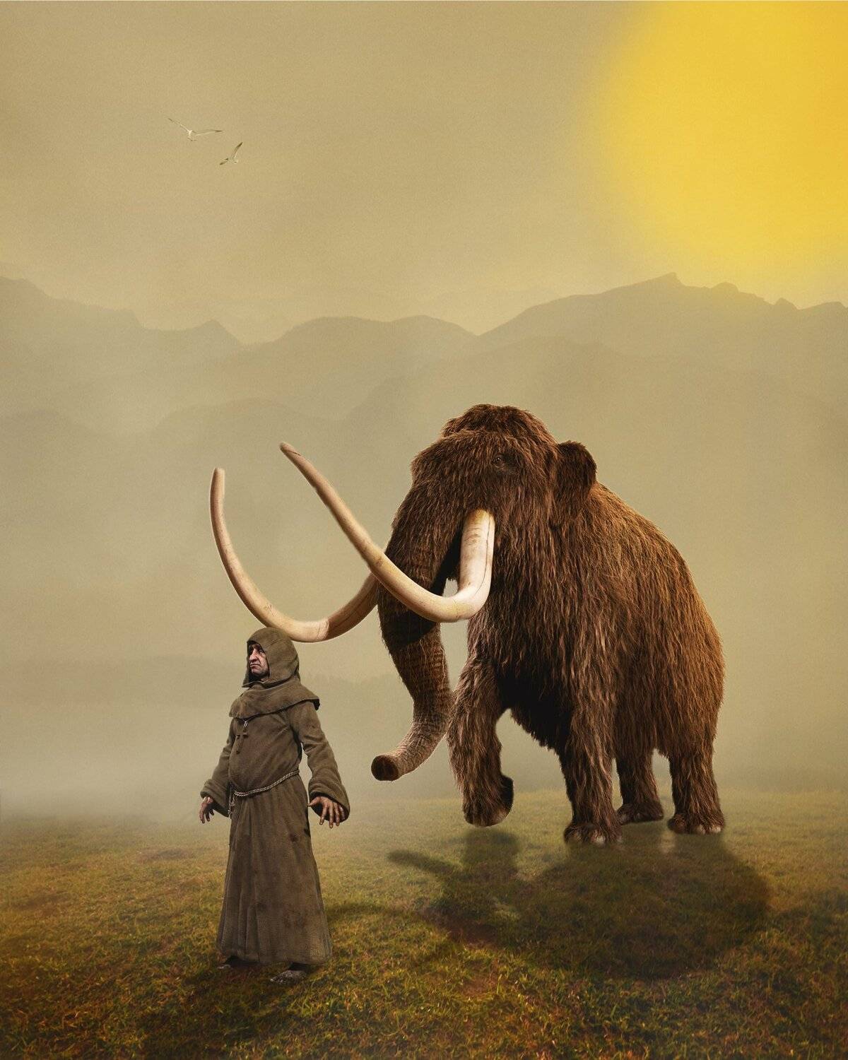 мамонт, монах, поле, горы, туман, Sergii Vidov