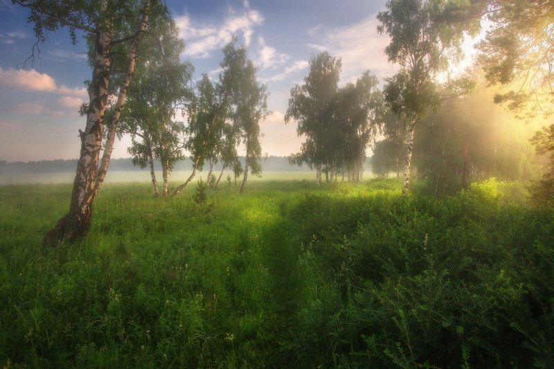 Всем лета фото превью