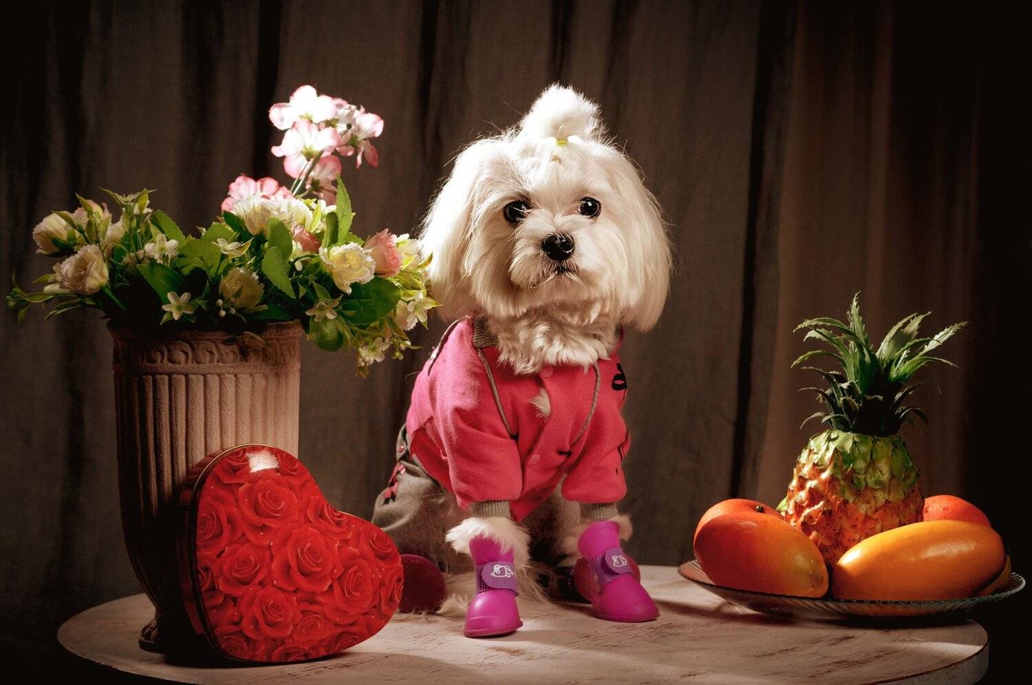 , Вячеслав Владимирович