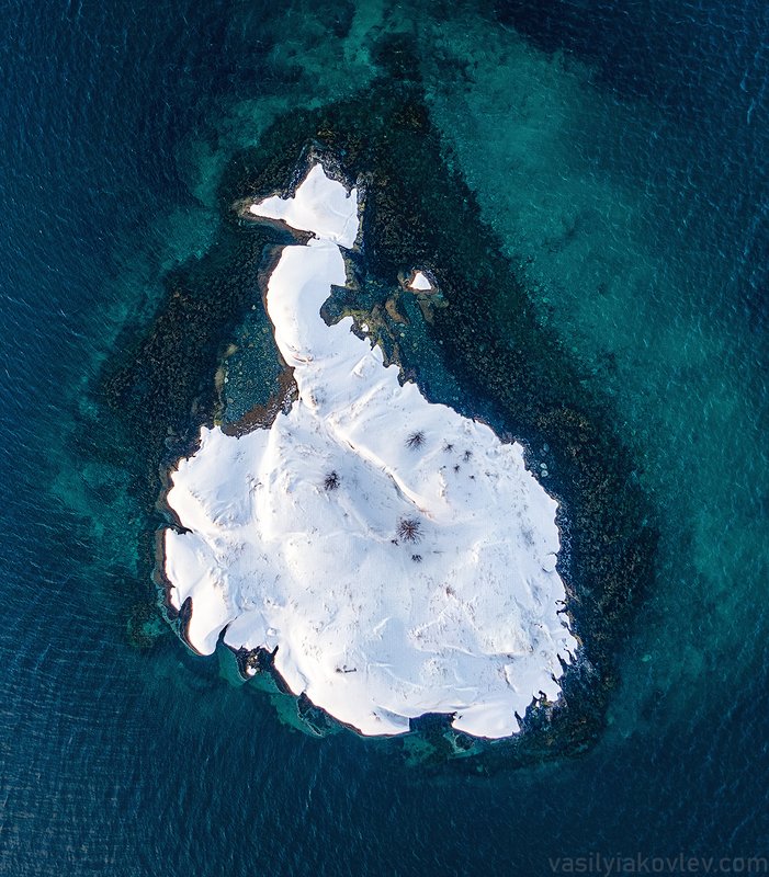 Белый Лебедь фото превью