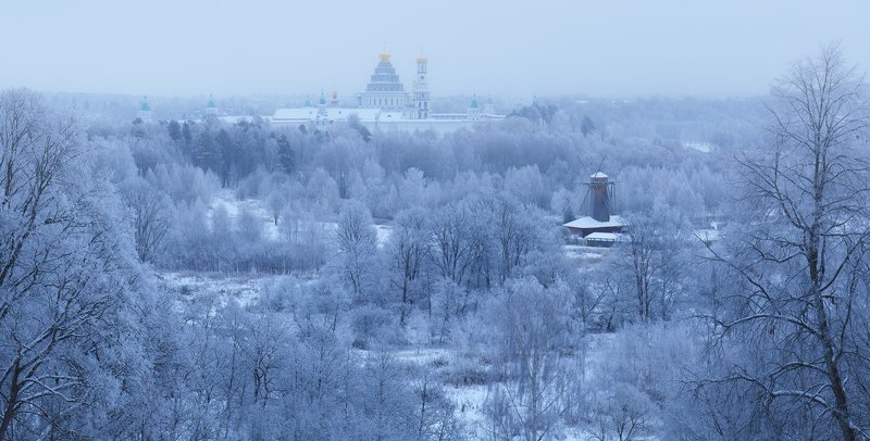 И деревья замерли в ожидании весны. фото превью