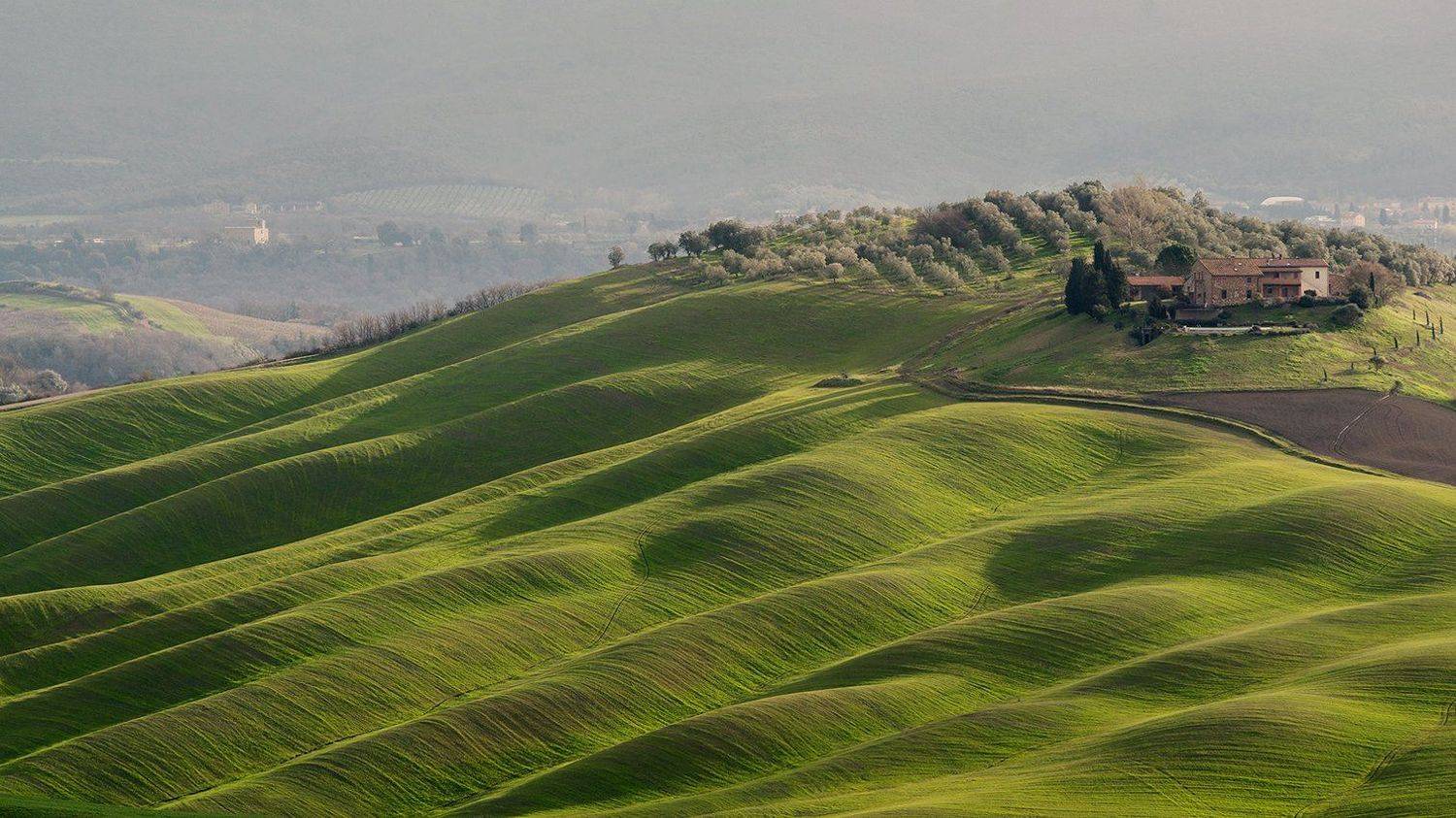 tuscany, тоскана, зеленый холмы тосканы, tuscany photos landscape, весенняя тоскана, пейзажи тосканы, tuscany landscape photography, Татьяна Ефименко