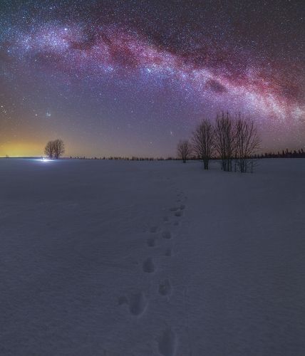***