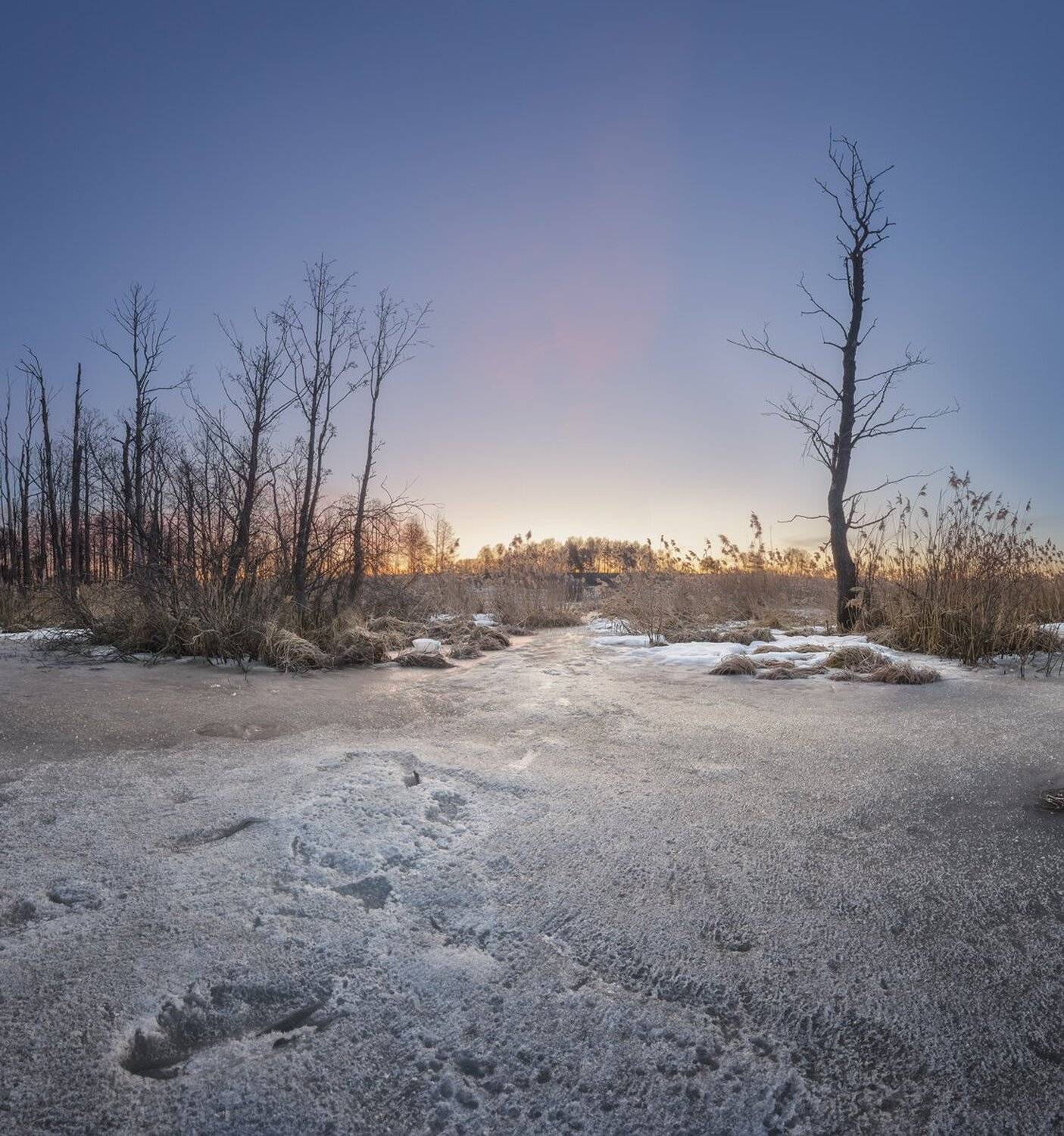 , Николай Андреев