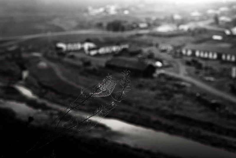 ... фото превью