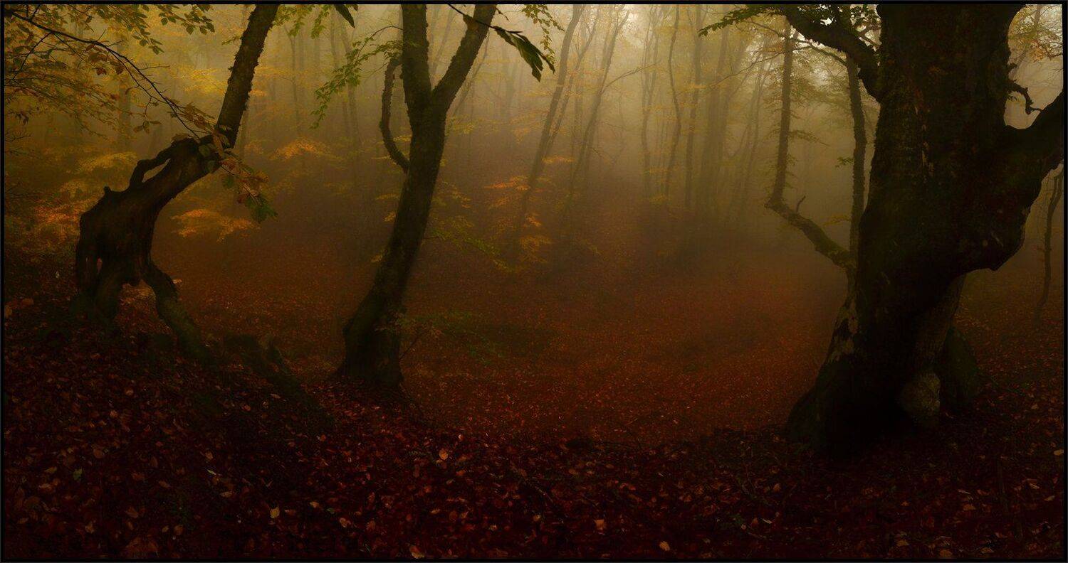 , Владимир Метцгер