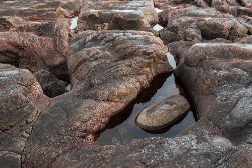 На берегу моря недалеко от Териберки