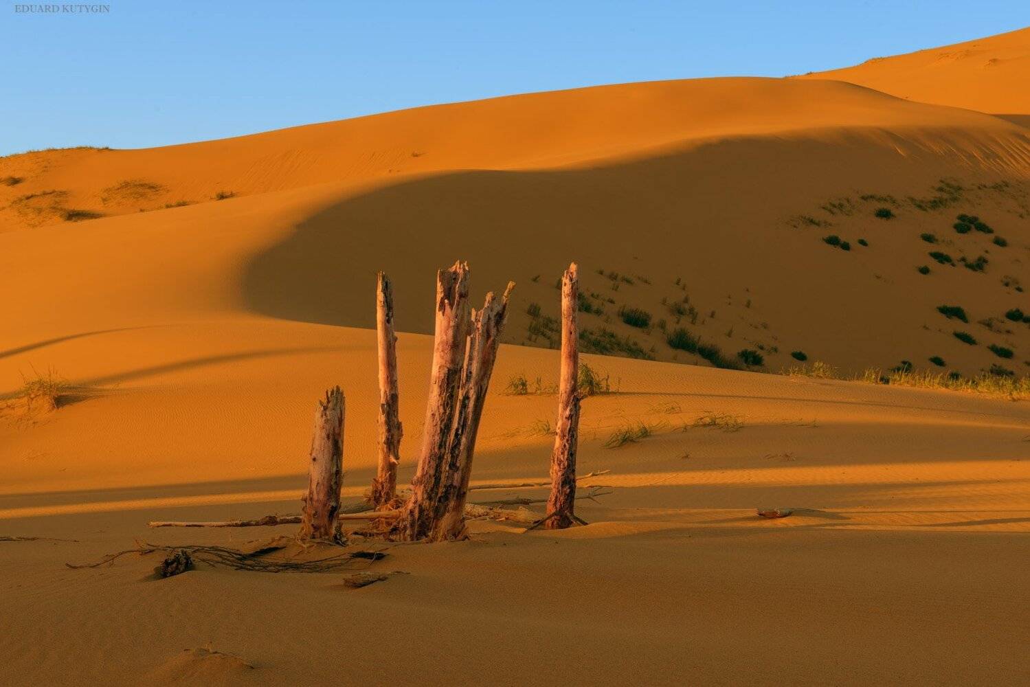 Сарыкум, Дагестан, Кутыгин Эдуард