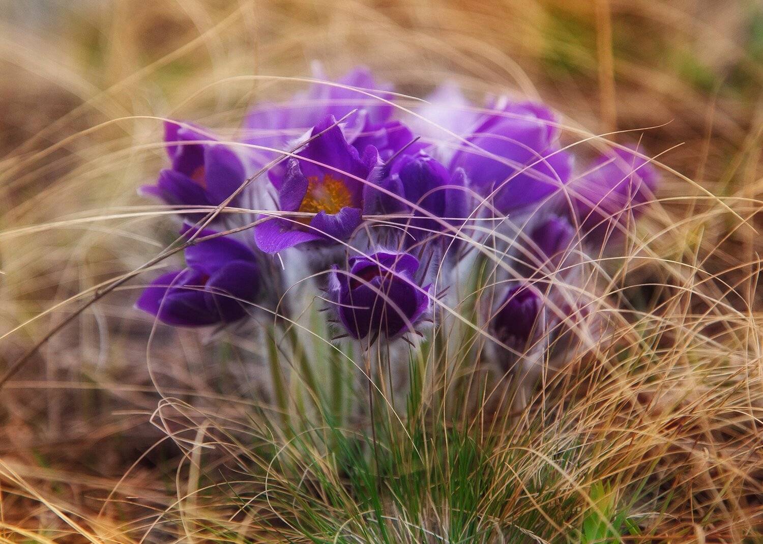 , Павел Сагайдак