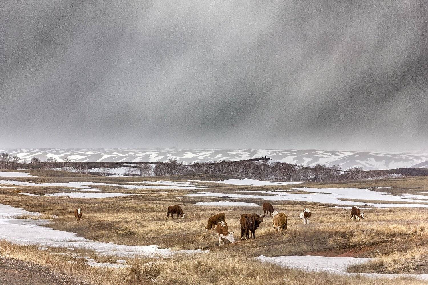 южный, урал, долгие горы, орск, новотроицк, Качурин Алексей