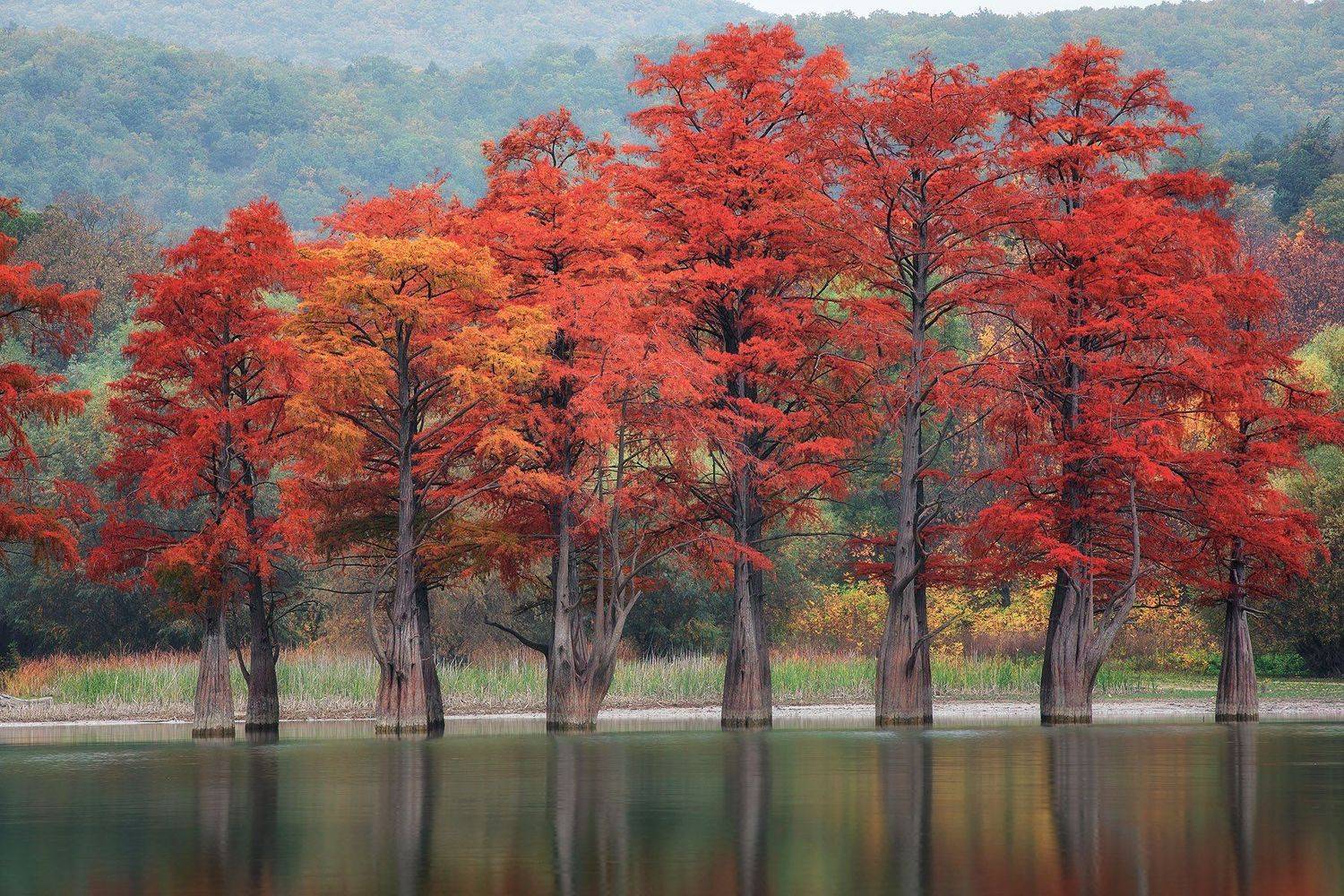, Александр Костенко